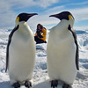 sharon osberg (SharonO) > Antarctica photo