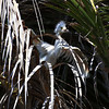 sharon osberg (SharonO) > Palo Alto Baylands May 19 2007 photo
