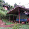 sharon osberg (SharonO) > After 10 1/2 hours in the van, we finally arrived at Bwindi.  This is our tent at the Kitandara Luxury Tented Lodge.
