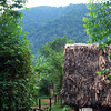 sharon osberg (SharonO) > The grounds of the Lodge.