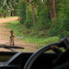 sharon osberg (SharonO) > We drove 45 minutes to get to the starting point for our first gorilla visit.  Here are some sights along the way....
