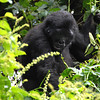 sharon osberg (SharonO) > Uganda photo