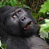 sharon osberg (SharonO) > Uganda photo