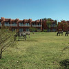 sharon osberg (SharonO) > The hotel bordered a national park and there were no fences, so animals came and went as they pleased.