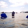 sharon osberg (SharonO) > Snorkeling In The Galapagos photo