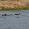 sharon osberg (SharonO) > La  Gallinas Ponds photo