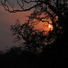 sharon osberg (SharonO) > Our last Indian sunset
