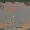 sharon osberg (SharonO) > Setting sun reflections
