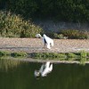 sharon osberg (SharonO) > Las Gallinas Sept 2005 photo
