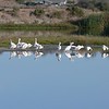 sharon osberg (SharonO) > Las Gallinas Sept 2005 photo