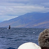 sharon osberg (SharonO) > Maui Feb 2006 photo