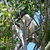sharon osberg (SharonO) > Palo Alto Baylands May 2006 photo