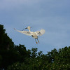 sharon osberg (SharonO) > Palo Alto Baylands May 2006 photo