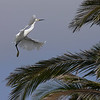 sharon osberg (SharonO) > Palo Alto Baylands June 2006 photo