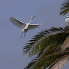 sharon osberg (SharonO) > Palo Alto Baylands June 2006 photo