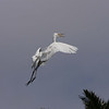 sharon osberg (SharonO) > Palo Alto Baylands June 2006 photo