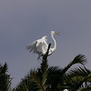 sharon osberg (SharonO) > Palo Alto Baylands June 2006 photo