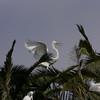 sharon osberg (SharonO) > Palo Alto Baylands June 2006 photo