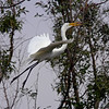 sharon osberg (SharonO) > Palo Alto Baylands June 2006 photo