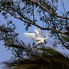 sharon osberg (SharonO) > Palo Alto Baylands June 2006 photo