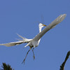 sharon osberg (SharonO) > Palo Alto Baylands June 2006 photo