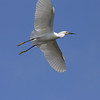 sharon osberg (SharonO) > Palo Alto Baylands June 2006 photo