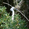 sharon osberg (SharonO) > Palo Alto Baylands June 2006 photo